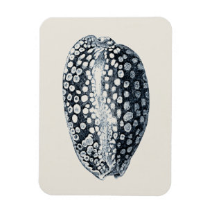 Indigo Seashell Magnet