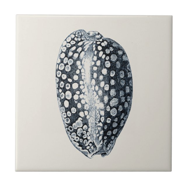 Indigo Seashell Tile (Front)