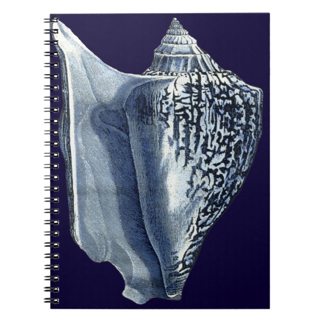 Indigo Shells I Spiral Notebook (Front)