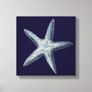 Indigo Shells IV Canvas Print