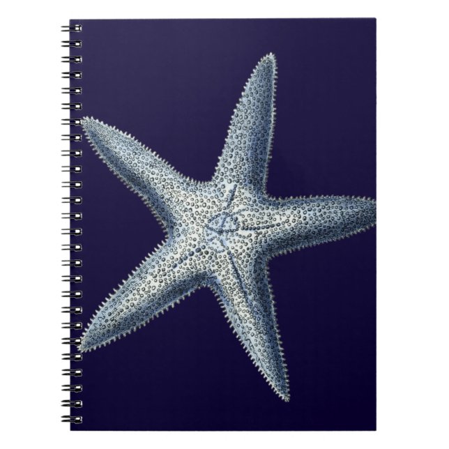Indigo Shells IV Spiral Notebook (Front)