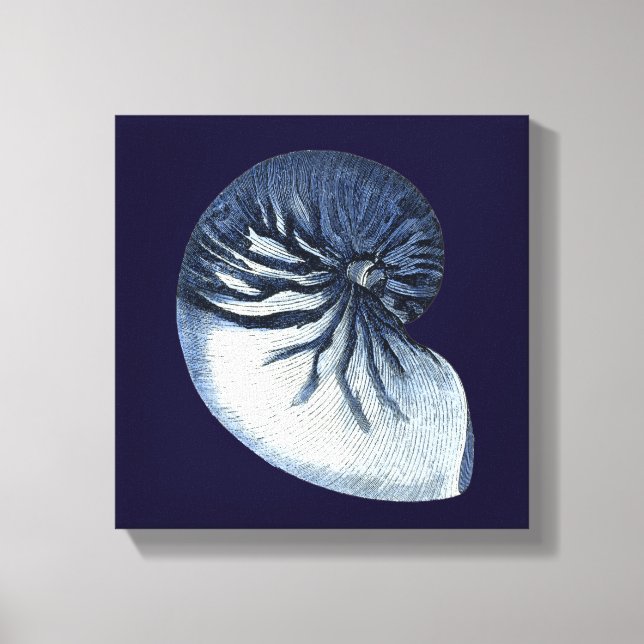 Indigo Shells VII Canvas Print (Front)