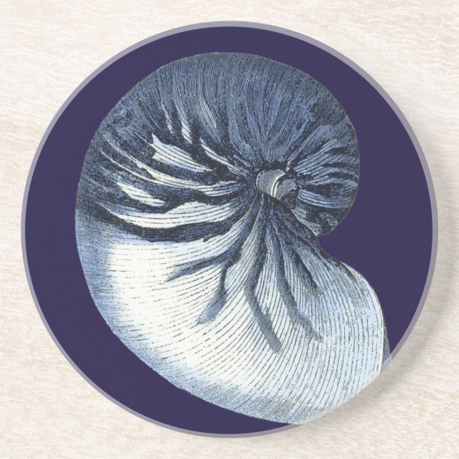 Indigo Shells VII Coaster (Front)
