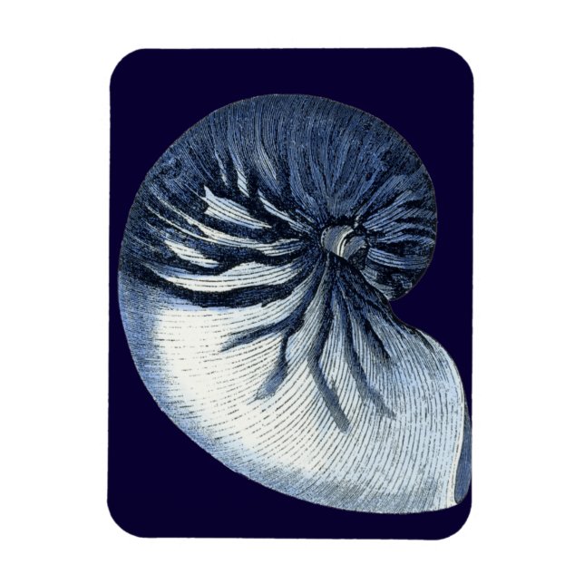 Indigo Shells VII Magnet (Vertical)