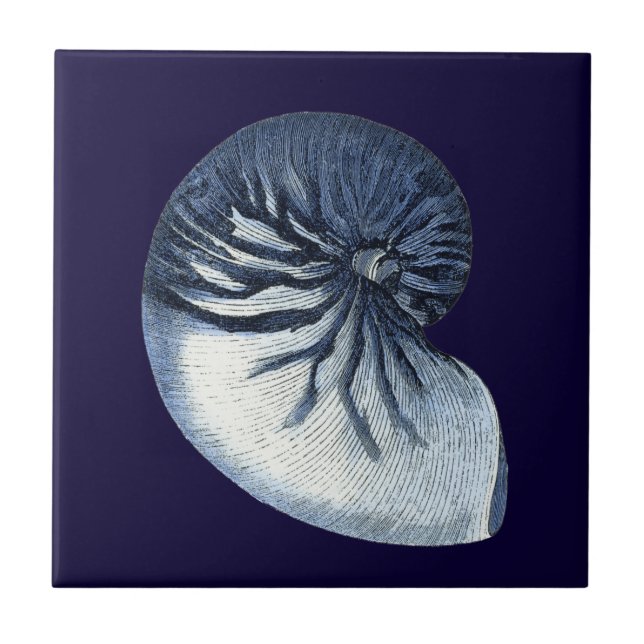 Indigo Shells VII Tile (Front)