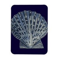 Indigo Shells VIII