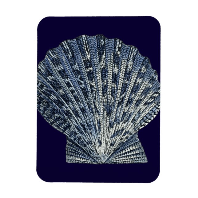 Indigo Shells VIII Magnet (Vertical)