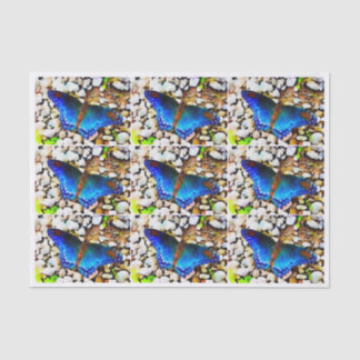 Indigo Watercolor Butterfly Tissue Paper