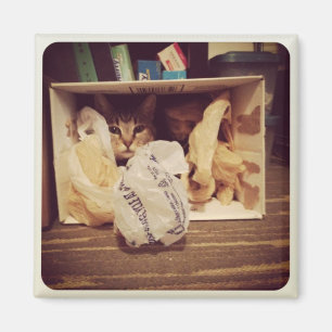 Indigo's Secret Hideout Magnet