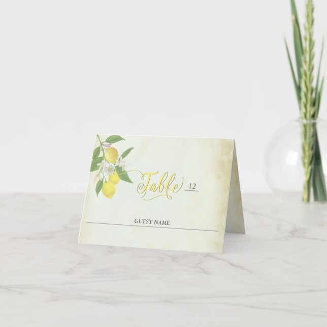 Individual Watercolor Lemon Theme Place Cards (Front)