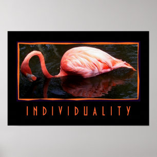 Individuality Poster