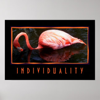Individuality Poster