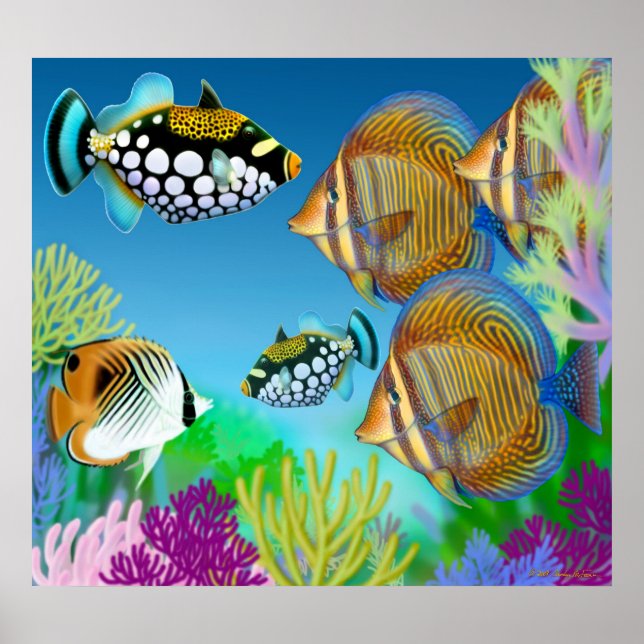 Indo-Pacific Coral Reef Fish Poster (Front)