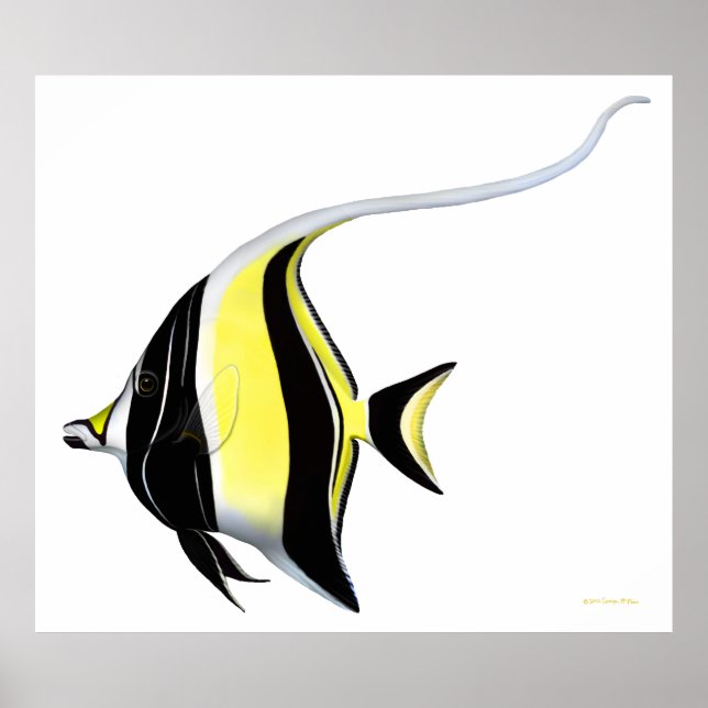 Indo Pacific Reef Moorish Idol Fish Poster (Front)