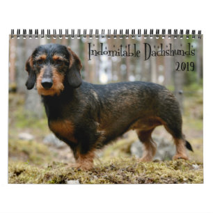 Indomitable Dachshunds Custom Year Calendar