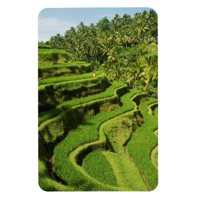 Indonesia, Bali | Rice Paddies Magnet (Vertical)