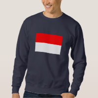 Indonesia Flag