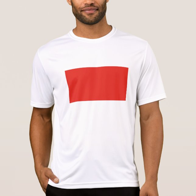 Indonesia flag T-Shirt (Front)