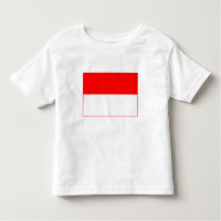 Indonesia Flag