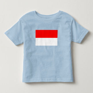 Indonesia Flag Toddler T-Shirt