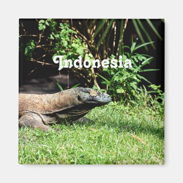 Indonesia Komodo Dragon Magnet (Front)