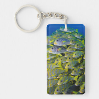 Indonesia. Schooling Fish Key Ring