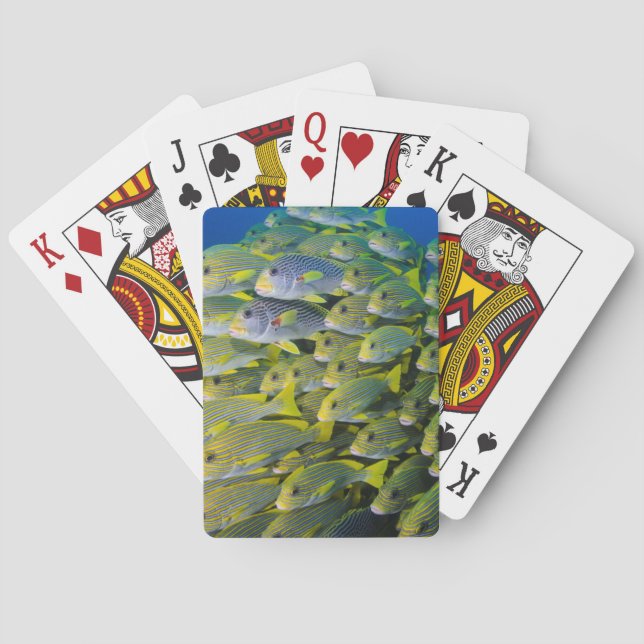 Indonesia. Schooling Fish Playing Cards (Back)