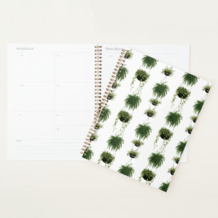 Indoor Oasis   Hanging Baskets Planner