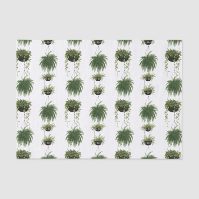 Indoor Oasis | Hanging Baskets Tissue Paper (Front)