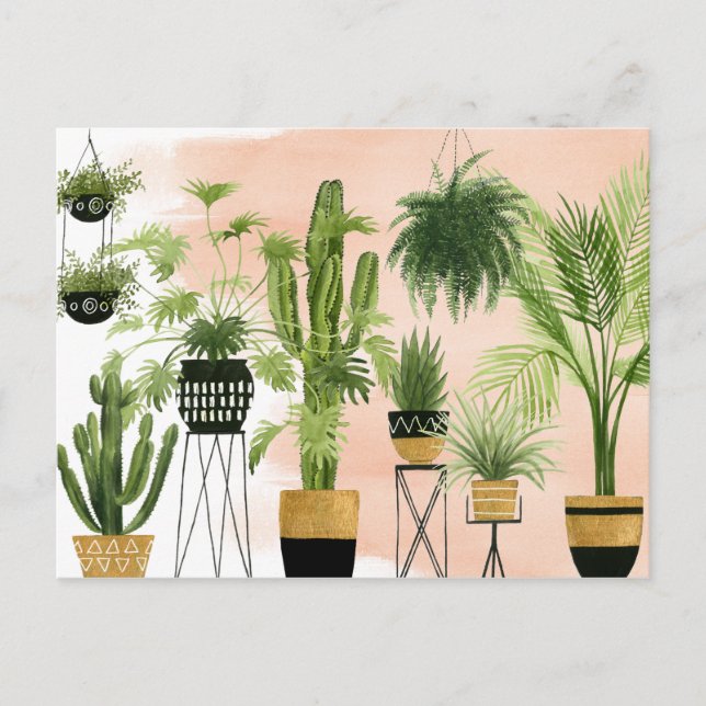 Indoor Oasis | Plant Lineup Postcard (Front)