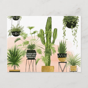 Indoor Oasis Postcard