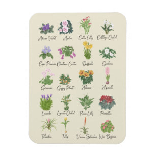 Indoor Plants and their Names - Plant Lovers Gift Magnet