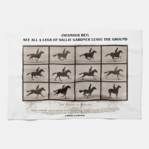 Infamous Bet 4 Legs Sallie Gardner Leave Ground Tea Towel