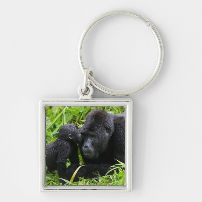 Infant Mountain Gorilla Kisses Silverback Gorilla Key Ring (Front)