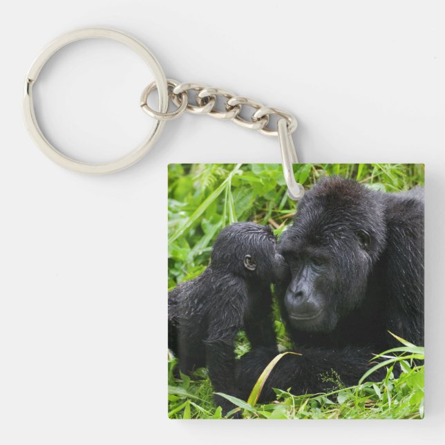 Infant Mountain Gorilla Kisses Silverback Gorilla Key Ring (Front)
