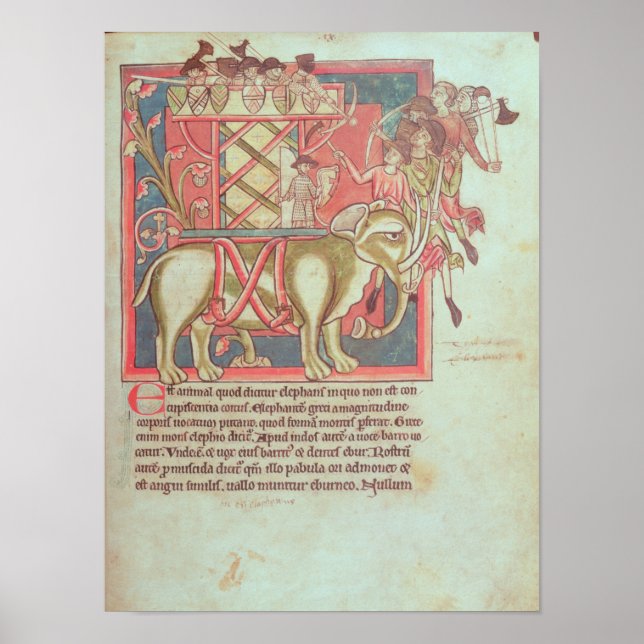 Infantry attacking an elephant poster (Front)