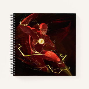 Infinite Crisis Flash Illustration Notebook