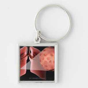 Inflammed airway during an asthma attack key ring