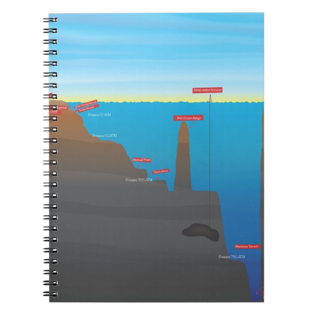 infographic spiral notebook (Front)