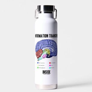 Information Transfer Inside Brain Anatomy Humour Water Bottle