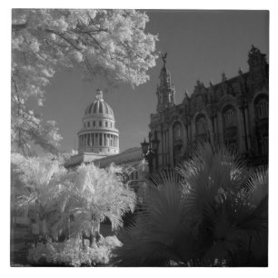 Infra red of Capitol building dome in Havana Tile