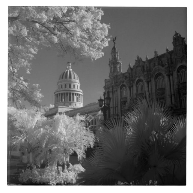 Infra red of Capitol building dome in Havana Tile (Front)