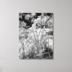 Infra red of trees buildings and trails in Las 2 Canvas Print