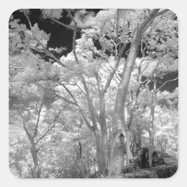 Infra red of trees buildings and trails in Las 2 Square Sticker (Front)
