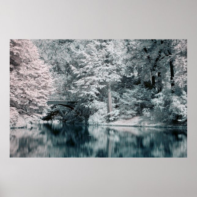 Infrared, Garden,   Paris  Poster (Front)