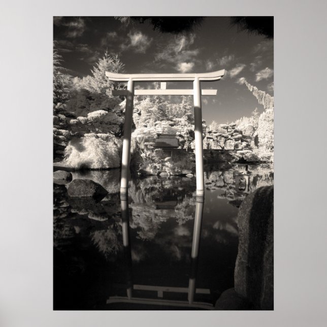 Infrared Garden Photograph Poster (Front)