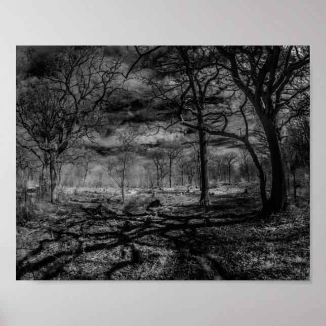 Infrared landscape shadows in the woods poster (Front)