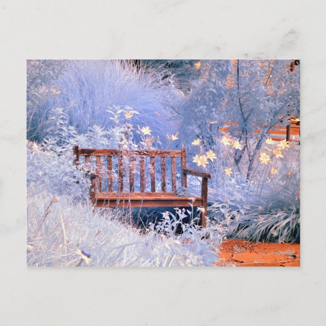 Infrared Park Bench Postcard (Front)