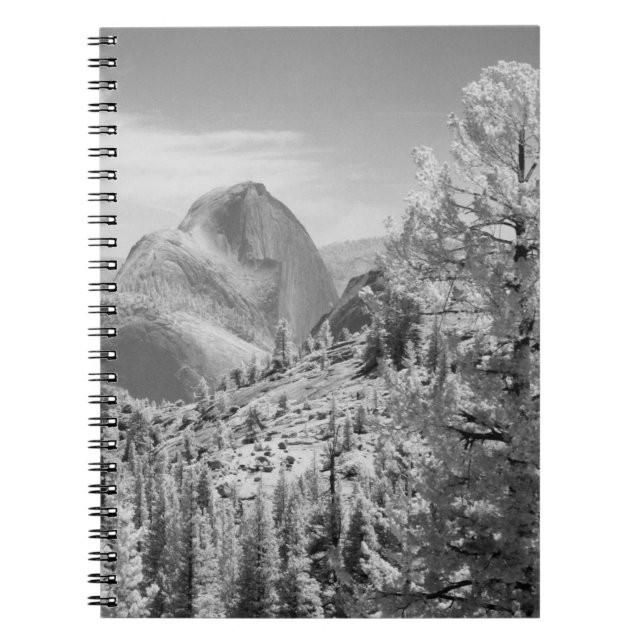 Infrared photo in East side of Yosemite National 2 Spiral Notebook (Front)