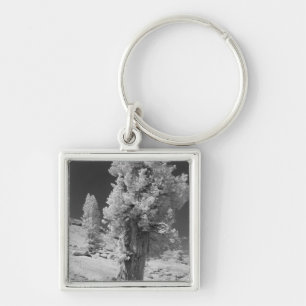 Infrared photo in East side of Yosemite National Key Ring